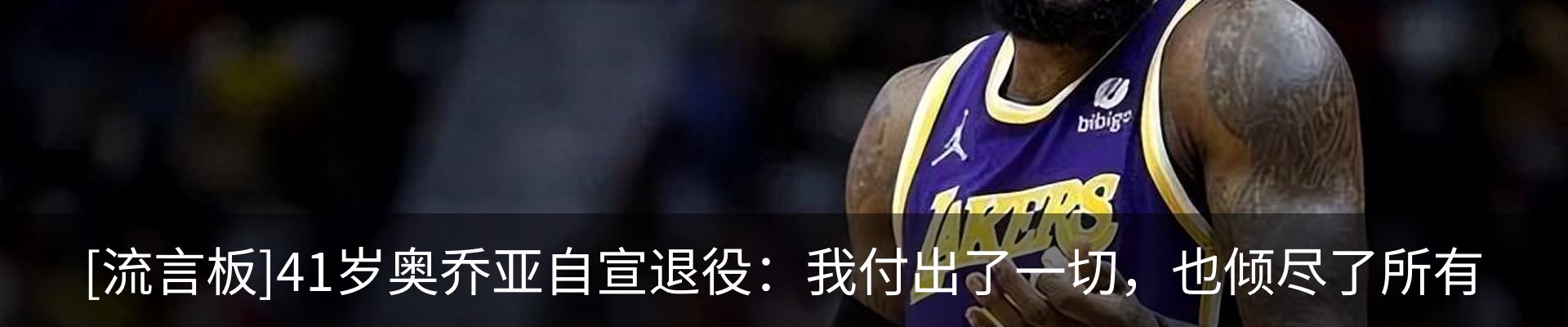 新闻动态